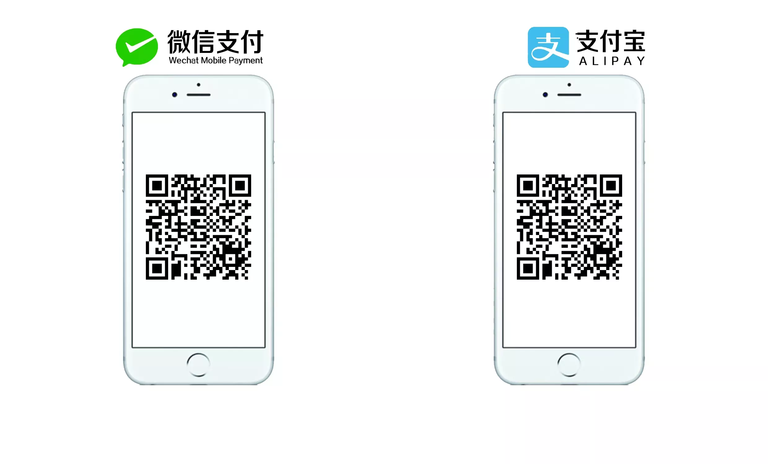 会员付费